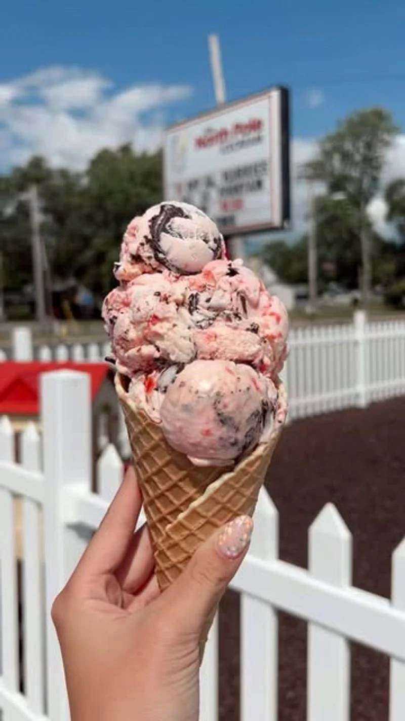 Ice Cream Shops in Downtown Traverse City