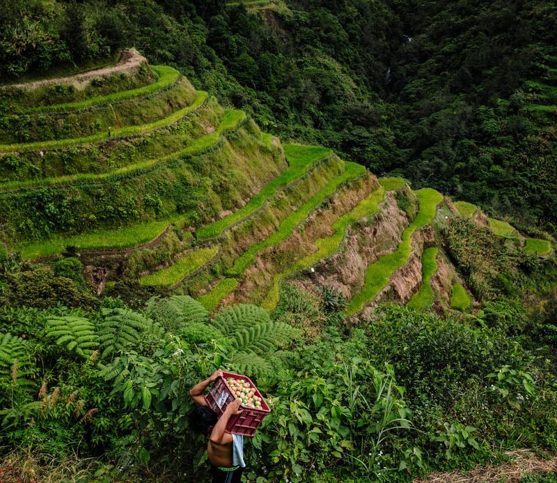 Banaue Rice Terraces, Philippines
