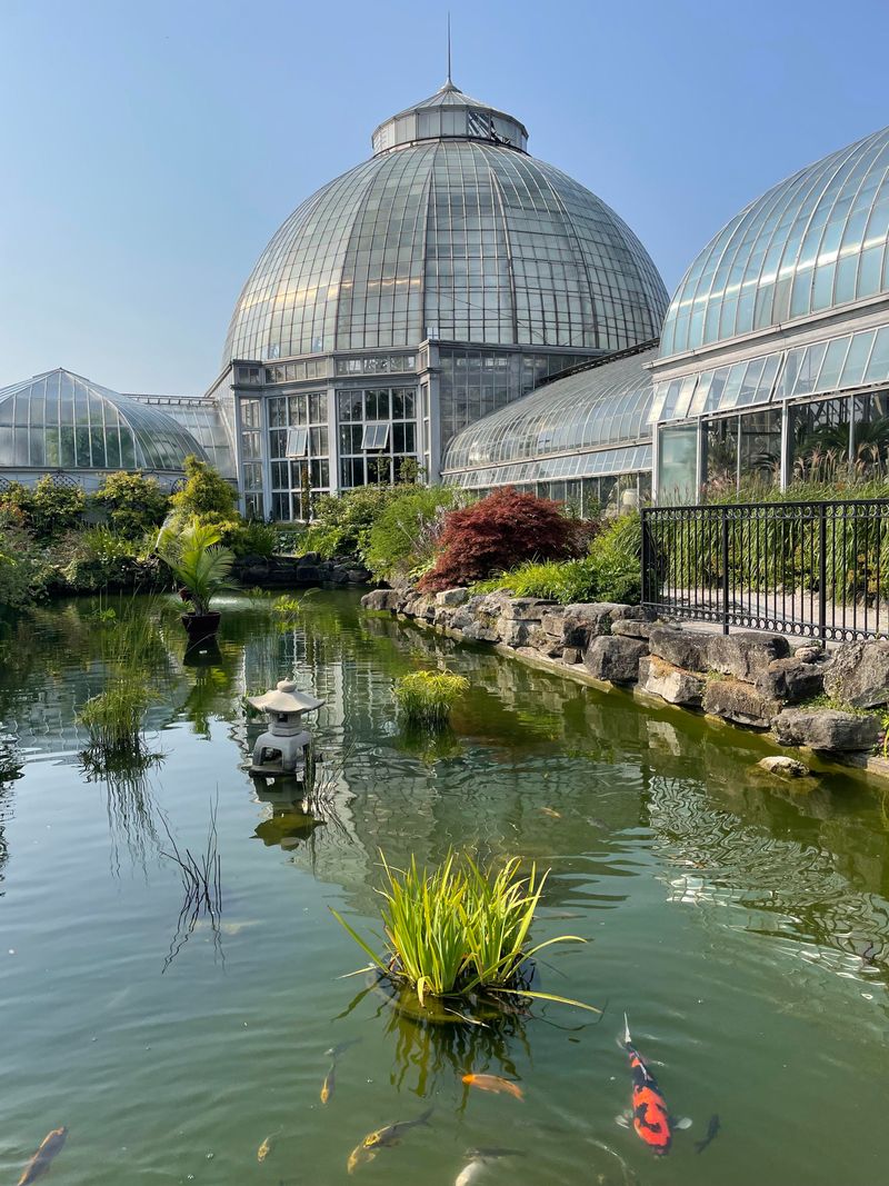 Aquarium's Tropical Lagoon