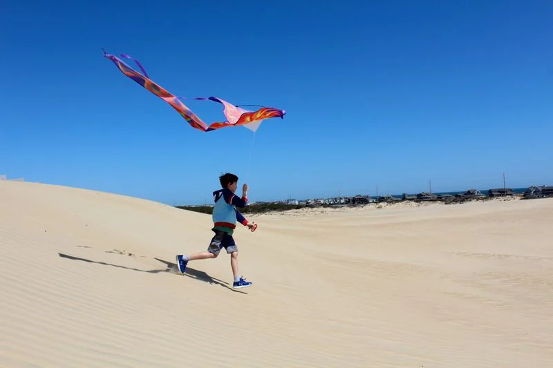 Climb Jockey’s Ridge State Park