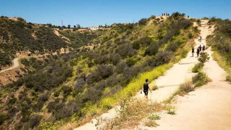 Runyon Canyon
