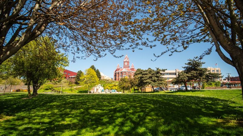 Bellingham, Washington – Urban Food Forests and Fern-Lined Trails