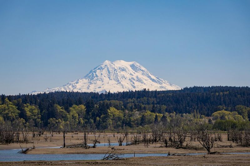 Olympia, Washington