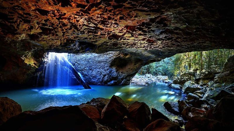 Glow Worm Caves, Springbrook National Park, Queensland