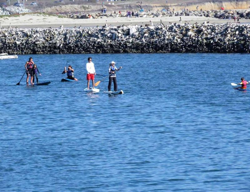 Kayaking or Stand-Up Paddleboarding in Pillar Point Harbor