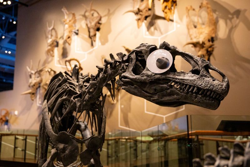 Natural History Museum of Utah (Salt Lake City)