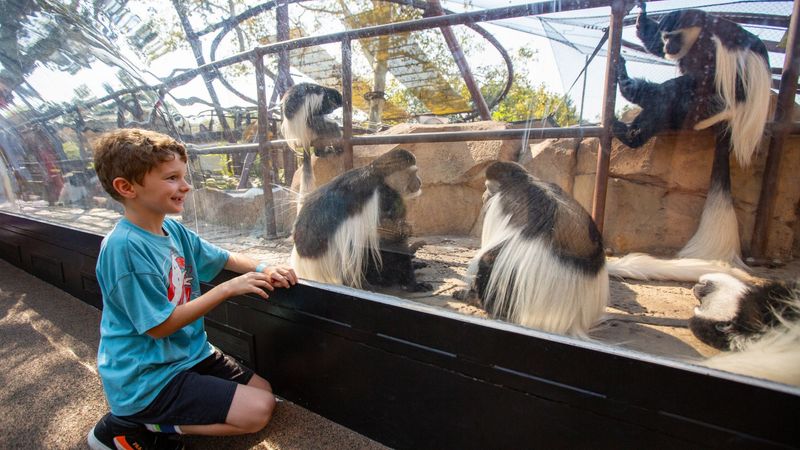 St. Louis Zoo