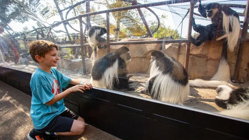 St. Louis Zoo