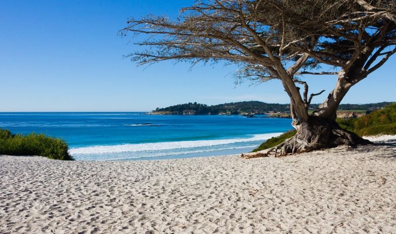 Carmel Beach