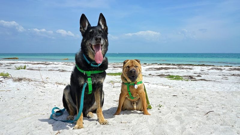 Fort De Soto Park – St. Petersburg, Florida