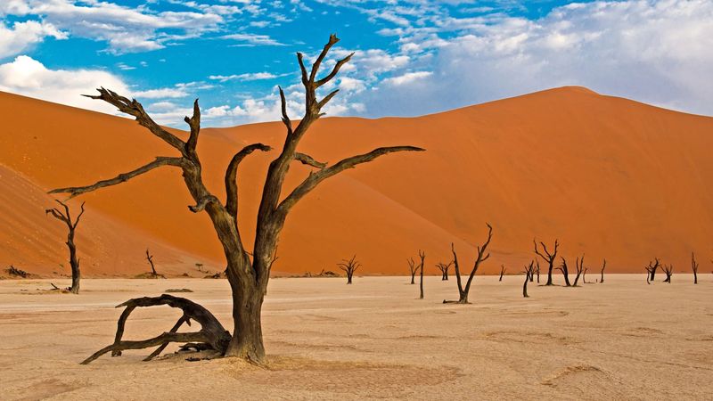 Sossusvlei, Namib-Naukluft National Park, Namibia