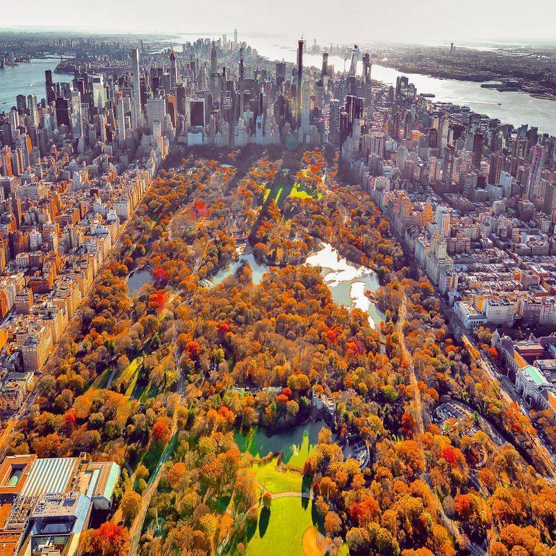 Exploring Central Park in New York City