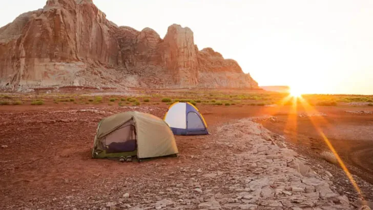 I tried no-WiFi vacations with my family (5 went wrong, 8 became our favorites)