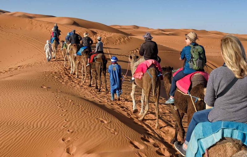 Camel Trekking in the Sahara Desert