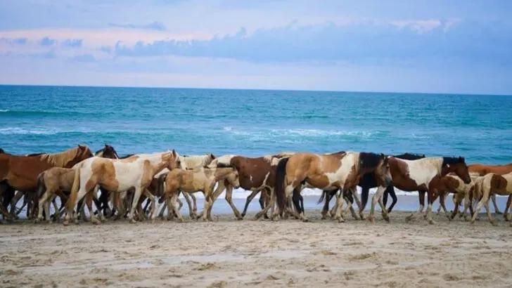 If You Miss the Outer Banks Before the Crowds, These 12 Towns Still Feel Like the Old Days
