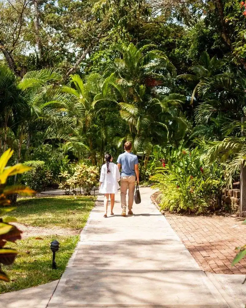 Missing Out on Garden Walks and Native Plant Trails