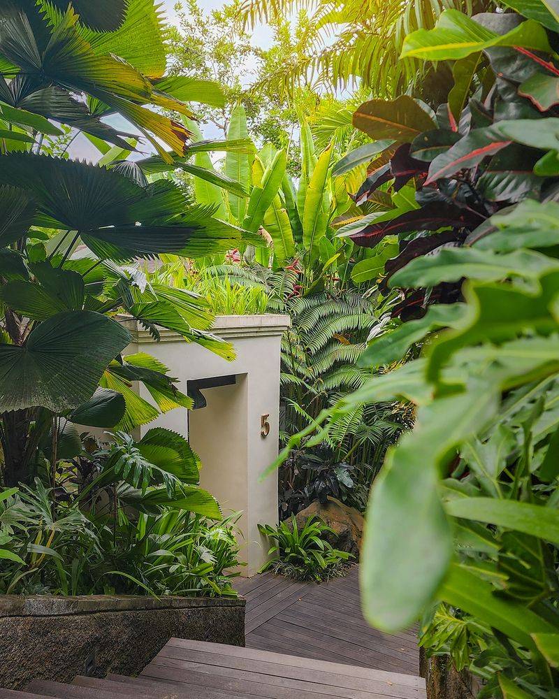 Not Using Natural Plant Barriers for Privacy