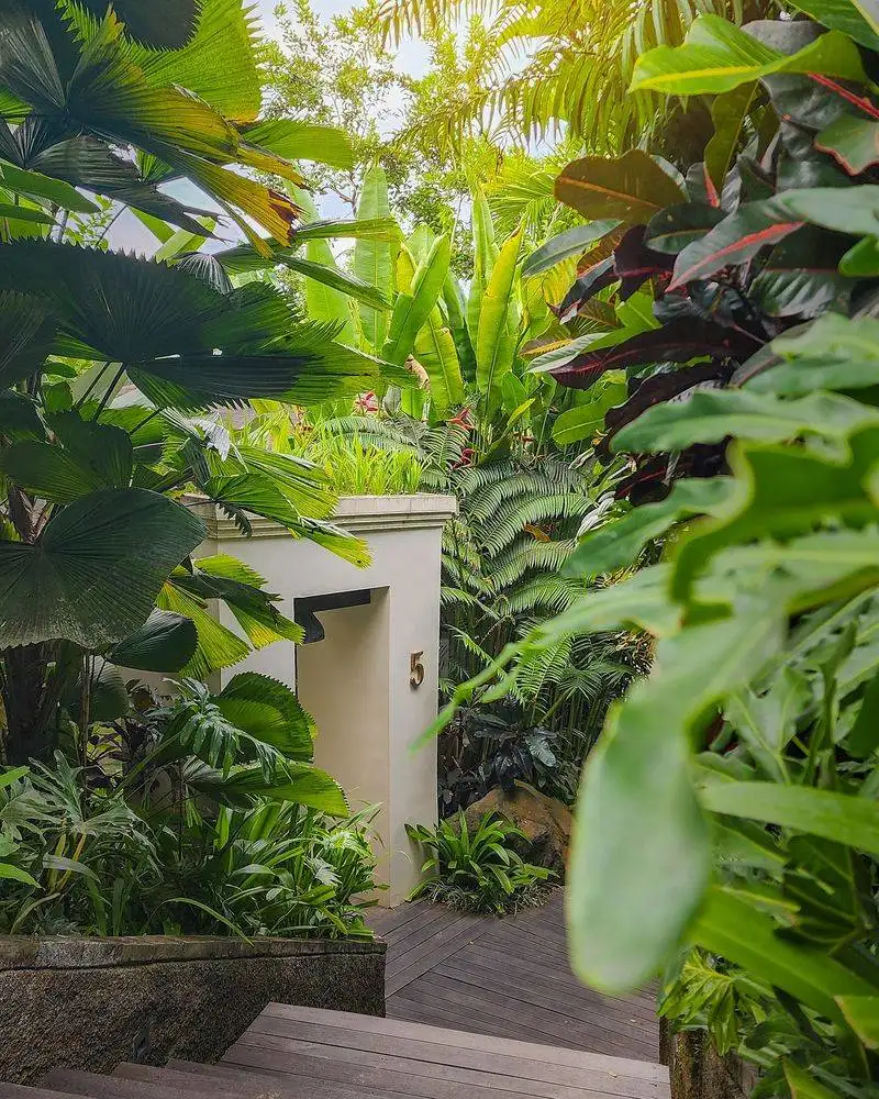 Not Using Natural Plant Barriers for Privacy