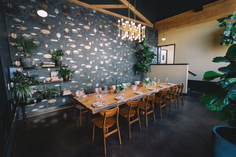 Renata – Portland, OR