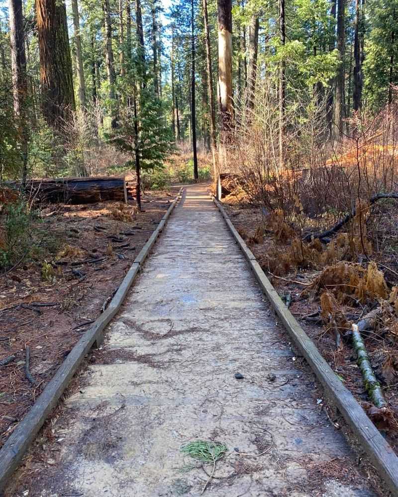 Old Mining Trail