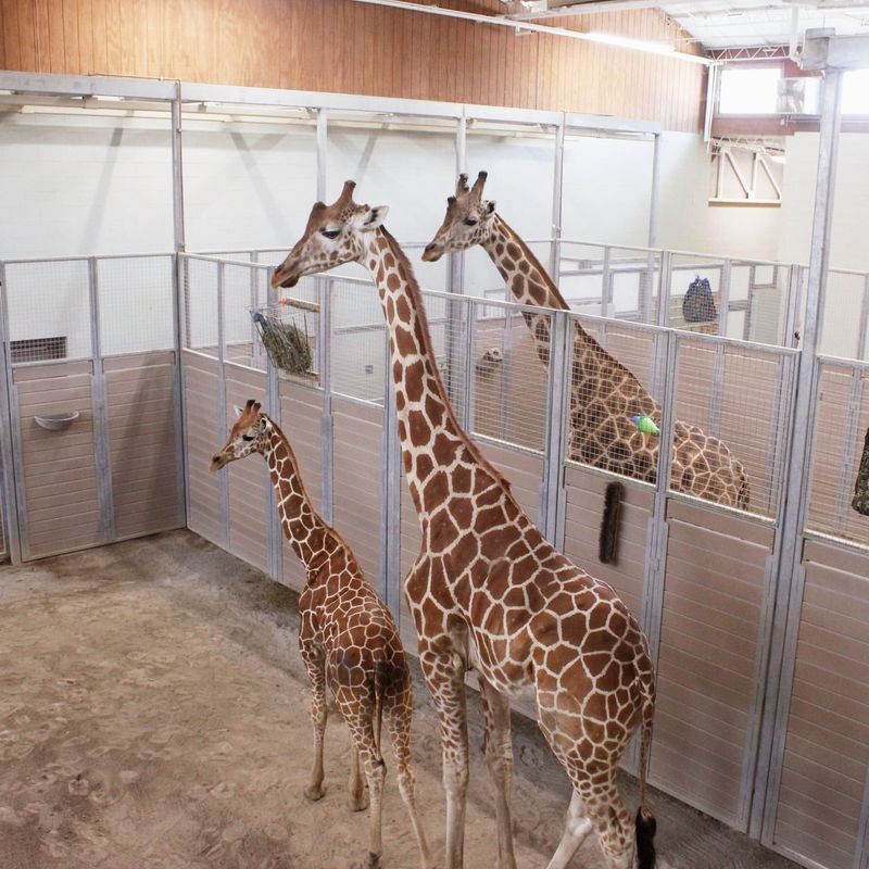 Chattanooga Zoo