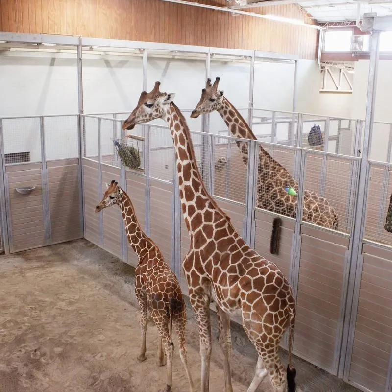 Chattanooga Zoo