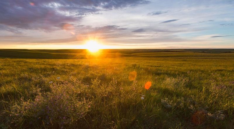 Kansas – Tallgrass Prairie National Preserve