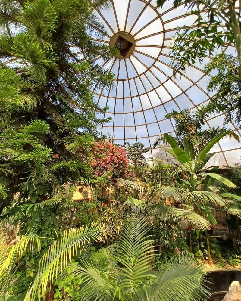 Reptile Gardens
