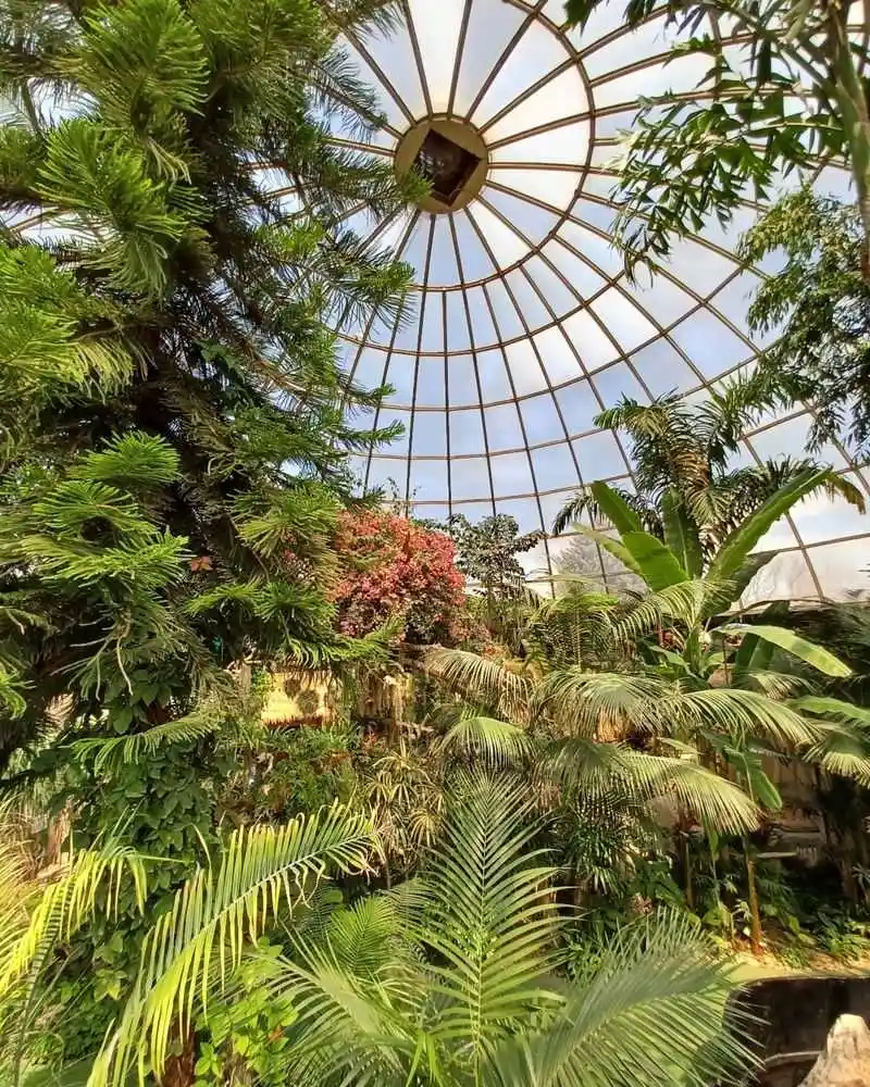 Reptile Gardens