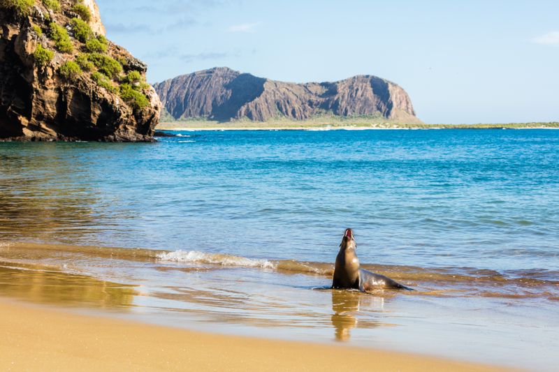 Espíritu Santo Island (Pacific)