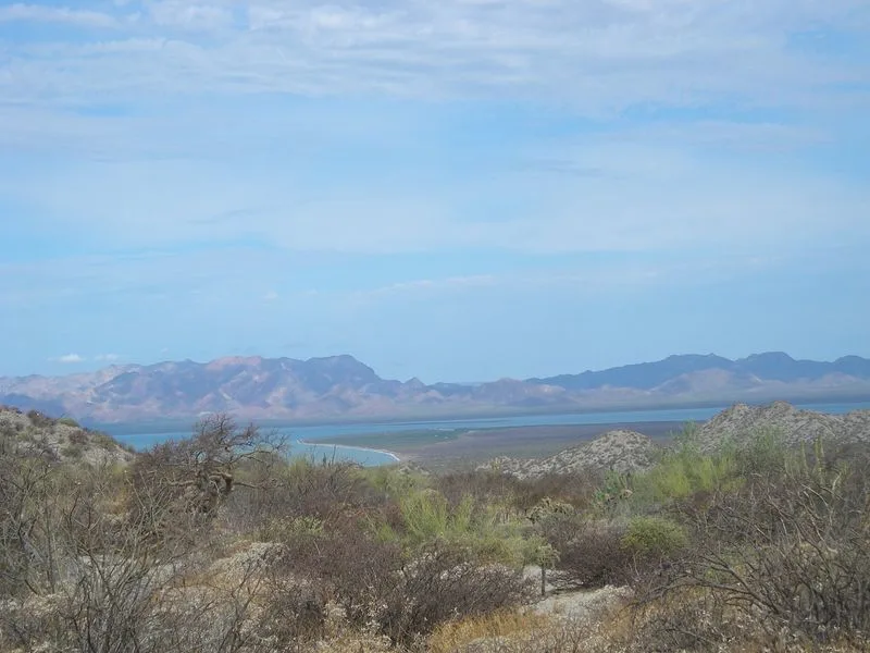 Isla Tiburón (Pacific)