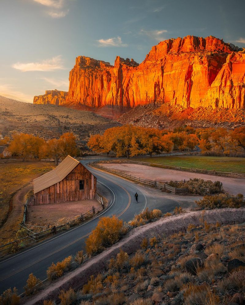 Capitol Reef National Park, UT – Fruiting Orchards and Red Rock Wildflowers