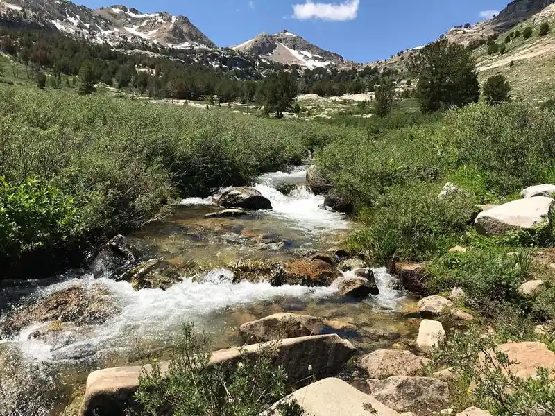 Lamoille