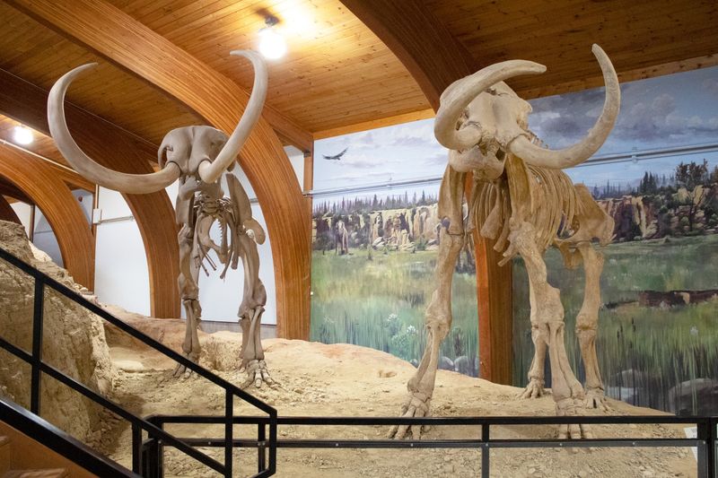 The Mammoth Site