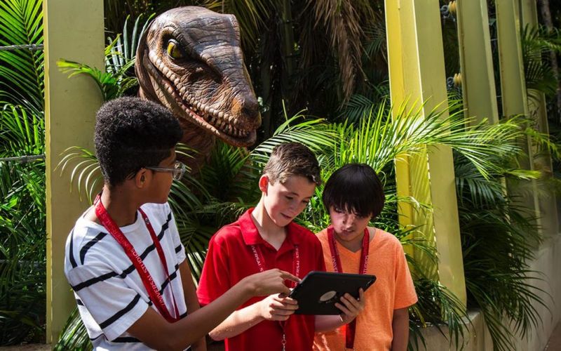 Participate in Interactive Experiences