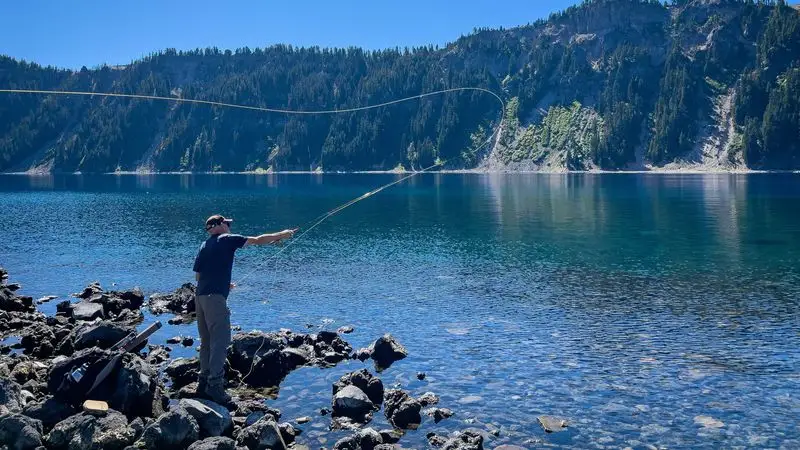 Fish without a license