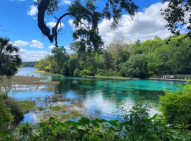 Rainbow Springs State Park (Dunnellon)