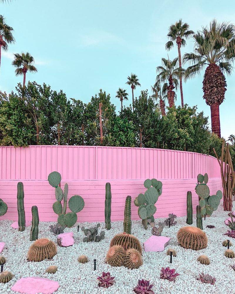 Palm Springs — Desert Gardens That Feel Like Art