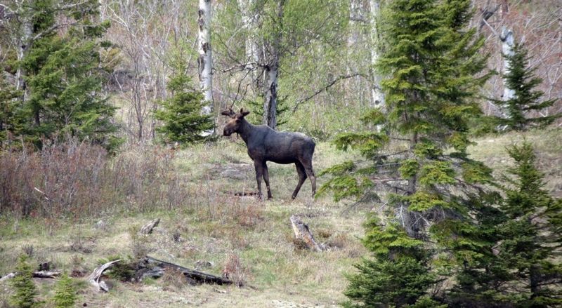 Isle Royale National Park