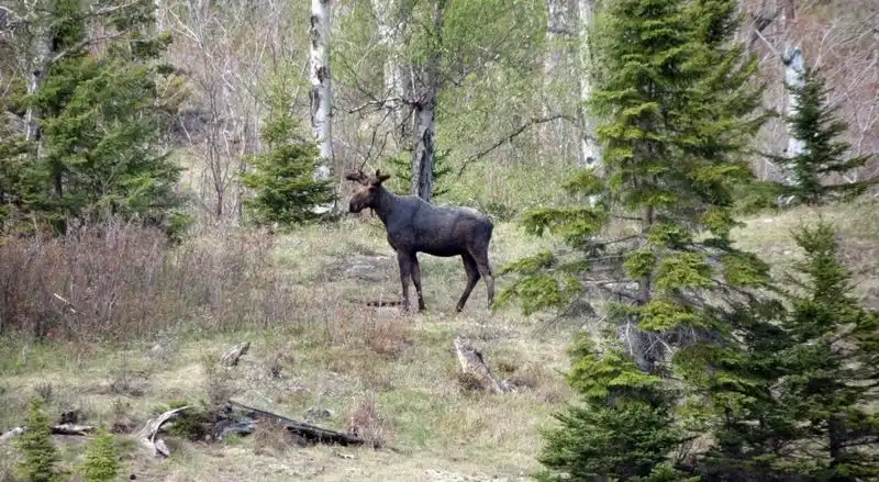 Isle Royale National Park