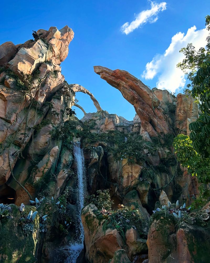 Flight of Passage