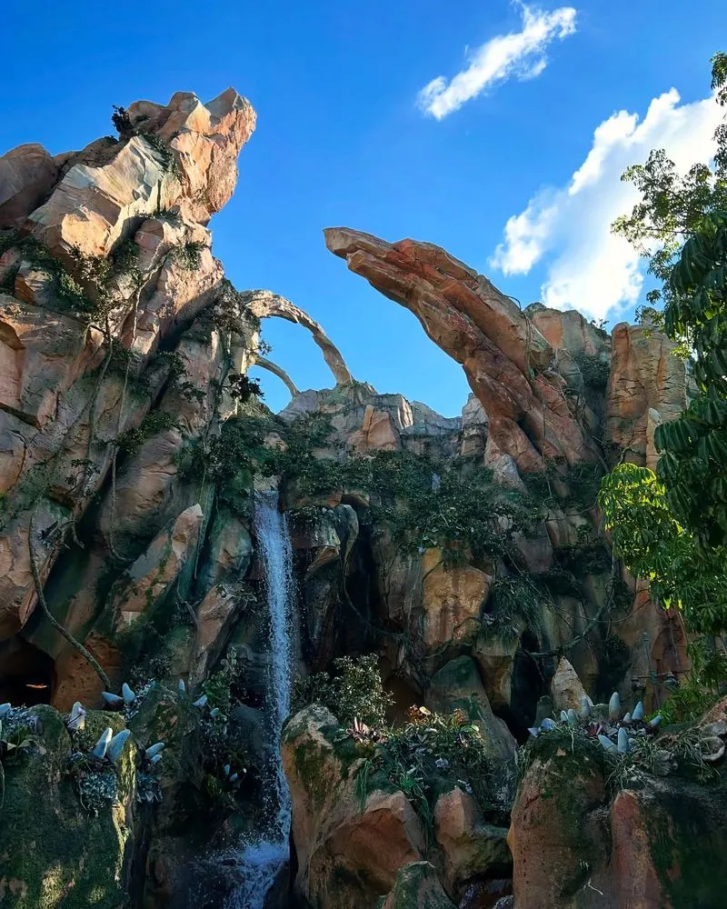 Flight of Passage