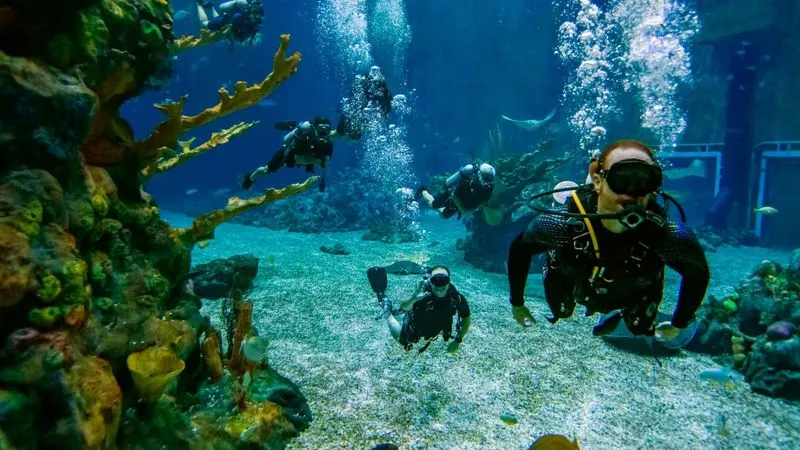 The Epcot Seas Adventures – Aqua Tour