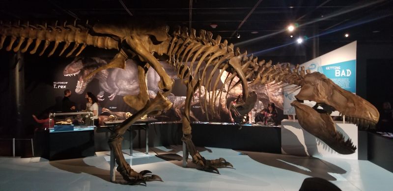 The Museum of the Earth, New York