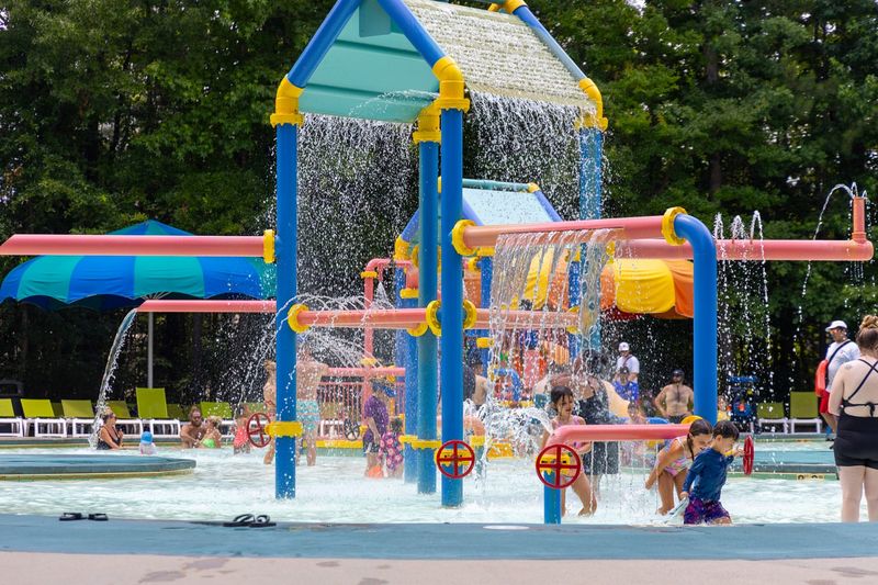 Soak City's Poolside Palms and Shade Trees