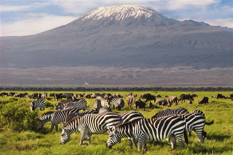 Amboseli National Park, Kenya