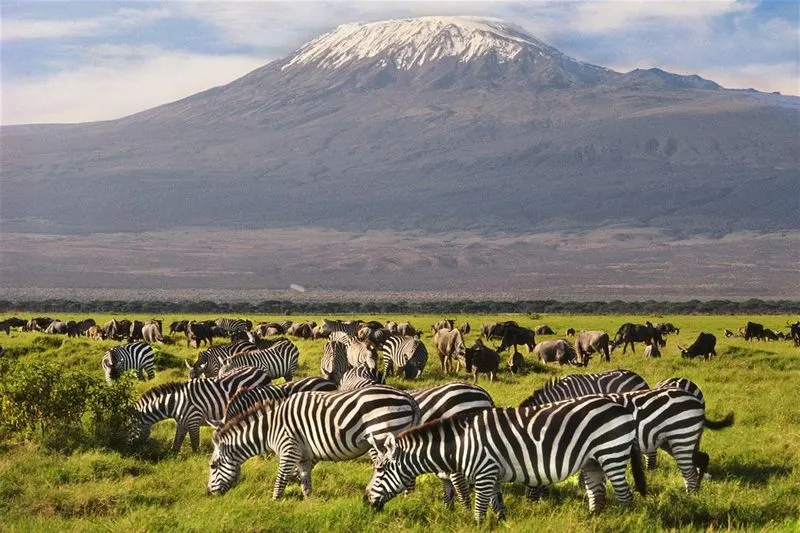 Amboseli National Park, Kenya