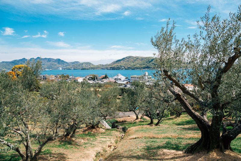 Shodoshima Island (Kagawa Prefecture)