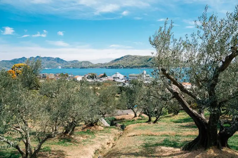 Shodoshima Island (Kagawa Prefecture)