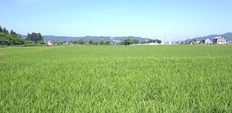 Uonuma (Niigata Prefecture)